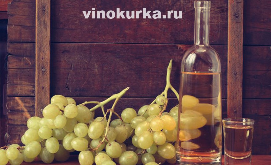 Рецепты чачи из винограда в домашних условиях Рецепты чачи из винограда в домашних условиях